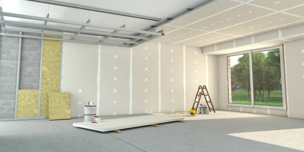 Best Insulation Maintenance and Repair in Holliday, TX