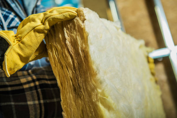 Best Specialized Insulation Services in Holliday, TX